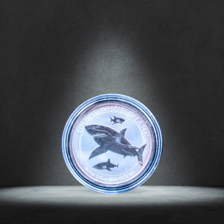 2014 Australia Great White Shark Silver Coin – 1/2 oz .999 Silver
